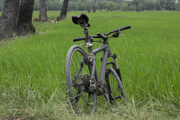 Fototapeta na wymiar Bike parked at the field