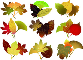 Fall leaves background