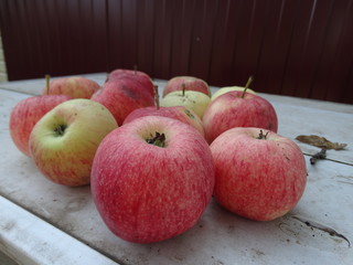 many ripe fake apples harvested for jam, apple juice, jam, compote in the garden in autumn