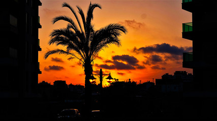 red sunset in the city