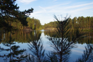 landscape with lake and forest