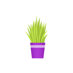 Potted plant in pot. Vector. Indoor flower in flat design isolated on white background. Animated houseplant. Cartoon colorful illustration.