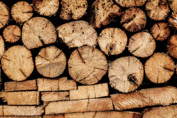 Wooden boards texture. Natural pine wood and detail.