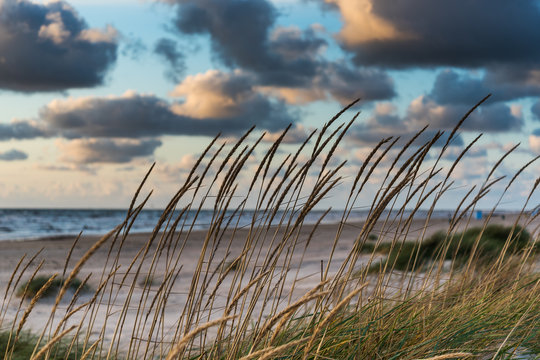 Fototapeta Baltic sea beach in evening, Liepaja, Latvia.