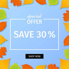 Sale banner. Vector. Special offer autumn template with fall leaves. Flyer, poster, card, label, web design. Bright background. Illustration with colorful leaf.