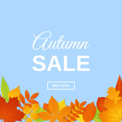 Autumn sale banner. Vector. template with fall leaves. Poster, card, label, web design. Bright flyer background. Illustration with colorful leaf.