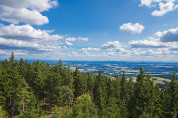 View from the lookout tower 