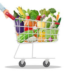 Metal shopping cart full of vegetables in hand