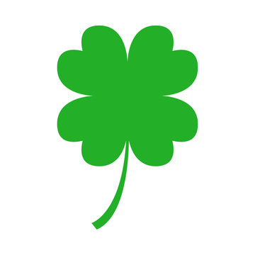 Green Four Leaf Clover On White Background. Vector.