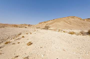 Fototapeta na wymiar Desolate infinity in the Middle East