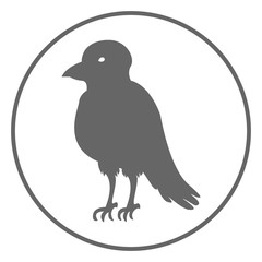 Crow icon. Vector..