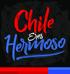 Chile eres hermoso, Chile you are beautiful spanish text, vector lettering illustration