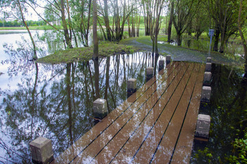 Pathway in the park flooded with water