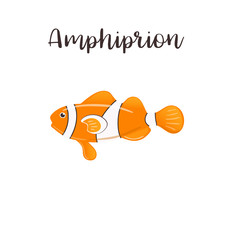 Amphiprion vector realistic illustration. Cartoon clown fish
