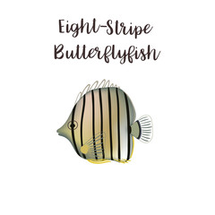Eight-stripe butterflyfish vector realistic illustration. Cartoon sea fish