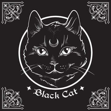 Hand drawn black cat with moon on his forehead in frame over black background and ornate gothic design elements. Wiccan familiar spirit, pagan witchcraft theme vector illustration.