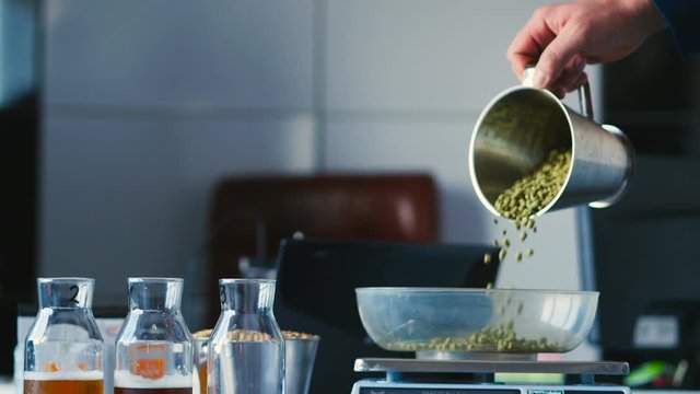 Crop worker of brewery weighing hops