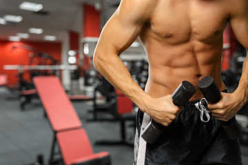 Fototapeta na wymiar Torso shot of a young man lifting dumbbells. Fit young man exercising with dumbbells on gym background