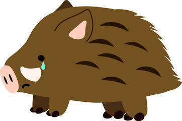 Pop Cute wild boar illustration