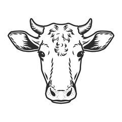 Cow head icon. Outline nand drawn illustration of cow head vector icon for web