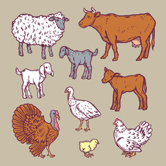 Farm animals detailed icon set. Cartoon illustration of 9 farm animals detailed vector icons for web