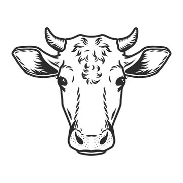Cow head icon. Outline nand drawn illustration of cow head vector icon for web