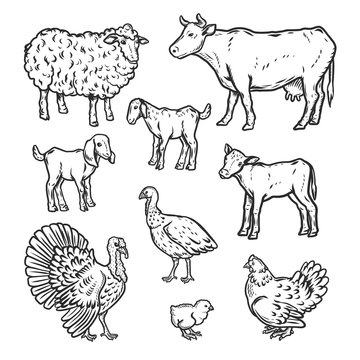 Farm animals detailed icon set. Outline nand drawn illustration of 9 farm animals detailed vector icons for web