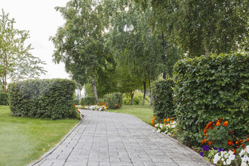 Obraz premium Summer park with green lawn. Landscaping of the park