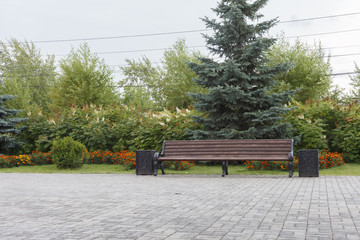 Landscaping of the park