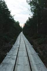 Landscape of a wooden trail in swamp leading forwards. Preserved outdoor territory of Ķemeri National park in Latvia.