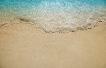 Fototapeta na wymiar beach on Saona Island