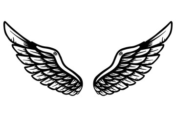 Hand drawn eagle wings illustration isolated on white background. Design element for poster, card, banner, sign, emblem, t shirt.
