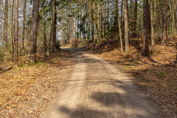 waldweg