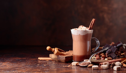 Cocoa with cream, cinnamon, chocolate pieces and various spices.