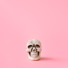Skull on pastel pink background. Creative Halloween minimal concept.