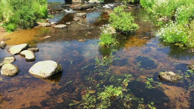 Tilt up from clear water of East Dart River to road bridge at Postbridge