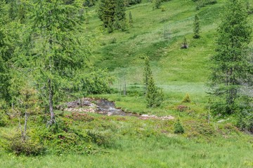 Gebirgsbach in den Alpen, Österreich