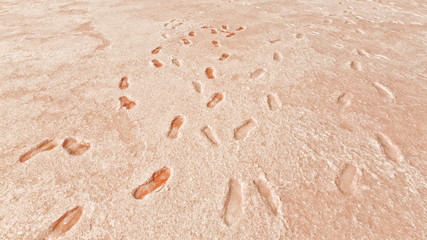 Pink Lake Victoria Australia