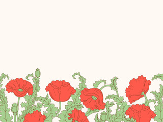 Red Poppies Pattern. Vector Floral illustration