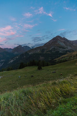 Hiking At The Grossglockner High Alpine Road In Carinthia Austria