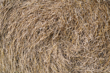 Скрученная солома