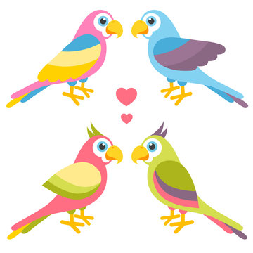 Couples of cartoon colorful parrots in love