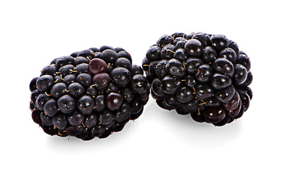 mulberries fruit and mulberry leaf on white background healthy mulberry fruit food isolated