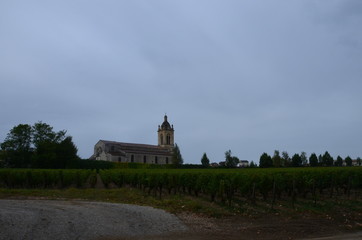 Fototapeta premium Paisajes del Medoc