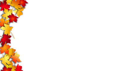 Autumn leaves. Fall colorful maple leaves on white background. Top view. Vector illustration 