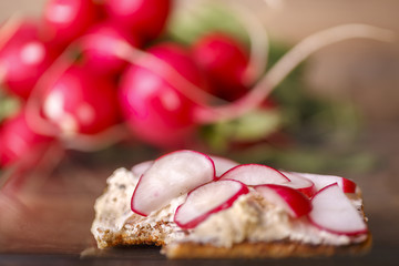 Brotaufstrich und Radieschen auf Toast