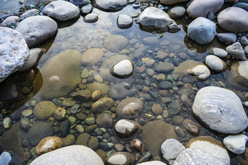 Small puddle drying up of the river