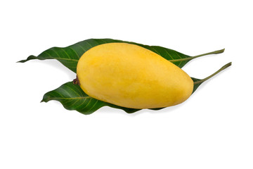 Ripe mango ( Mangifera indica L.) and mango leaves on white background.