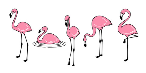 Cartoon pink flamingo vector set Cute flamingos collection Flamingo character animal exotic nature wild fauna illustration doodle