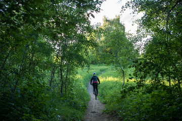 Fototapeta premium Photo from back of woman bicyclist wearing helmet riding along road in woods